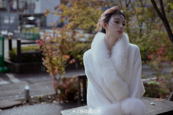 龙猫